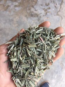 Lemongrass Extract