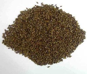 Puwar Seed
