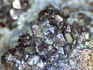 Crystal Carbolic Acid