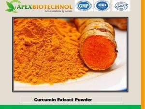 Curcumin Extract Powder