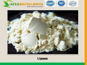 Lipase