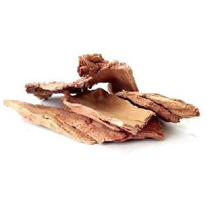 Arjuna Bark Dry Extract