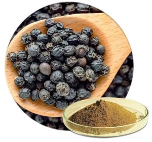 Black Pepper Dry Extract