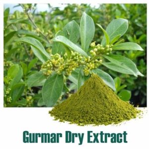 Gurmar Dry Extract