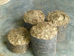 Biomass Groundnut Briquettes