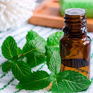 Peppermint Essential Oil