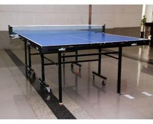 Table Tennis Table