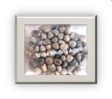 Tree Agate Polished Pebbles