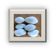 White Polished River Pebble Stones