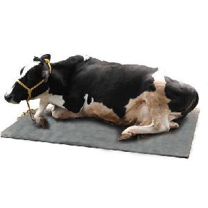 Cow Mat