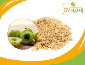 Spray Dried Amla Powder