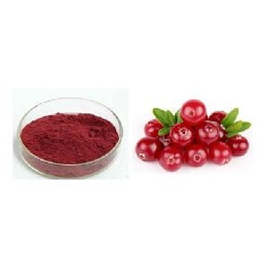 Cranberry Extract