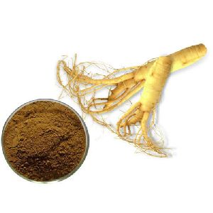 Ginseng extract