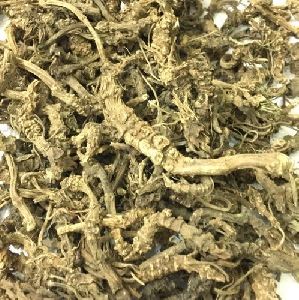 Valerian Root