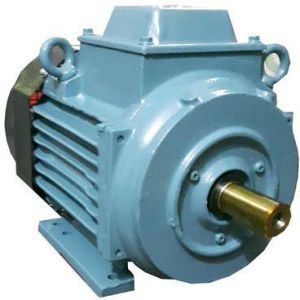 Induction Motor