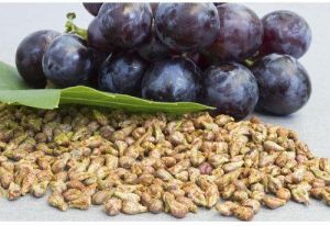 Grapes Seed Extracts