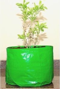 Grow Bags