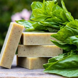 Basil Soap