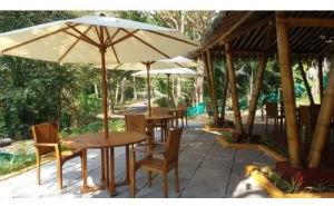 Outdoor Wooden Gazebo