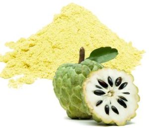 Spray Dried Custard Apple Powder