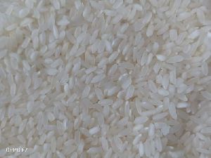 Long Grain White Broken Non Basmati Rice