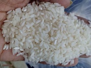 Sona Masoori White Raw Rice