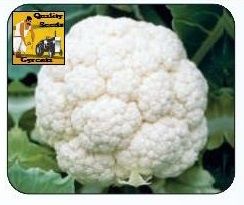F1 Shabnam Cauliflower Seeds