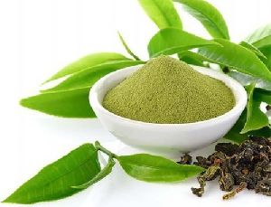 Green Tea Extract