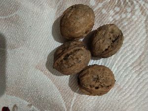 Orgnic walnut