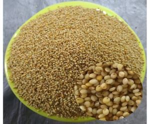 Brown top millets