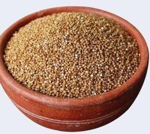 KODO MILLETS