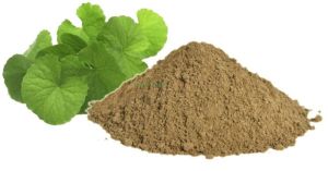 Natural Brahmi Powder