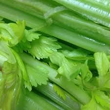 Fresh Celery