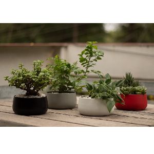 NEW DISH SHAPED SET OF FOUR IRON POT PLANTER FOR HOME AND OFFICE DECORATION TABLE TOP PLANTER