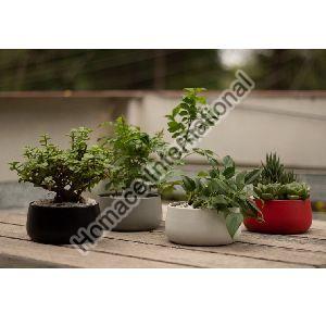 NEW DISH SHAPED SET OF FOUR IRON POT PLANTER FOR HOME AND OFFICE DECORATION TABLE TOP PLANTER