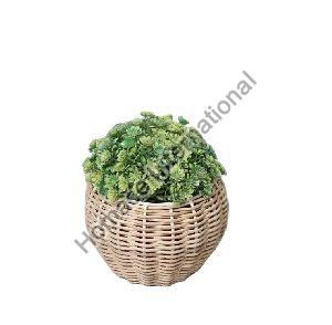 TABLE TOP PLANTER FOR HOME AND OFFICE DECORATION