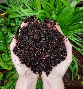 Organic Compost