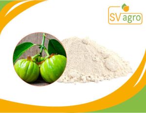 garcinia powder