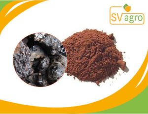 Shilajit Powder