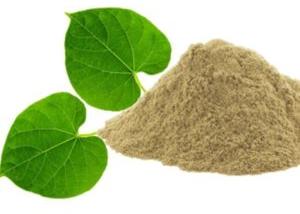 Giloy Extract Powder