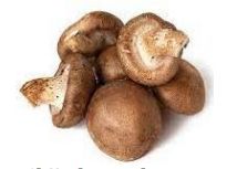 Shiitake Mushroom