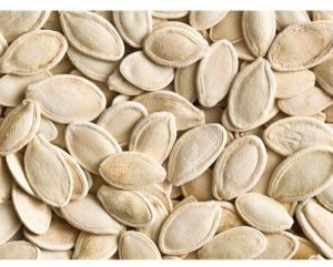 Pumpkin Seed