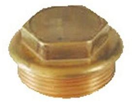 Brass PPR Plug