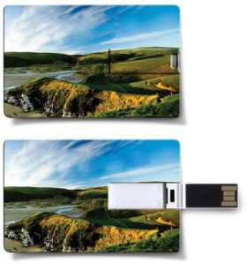 Printed Card USB Pen Drive