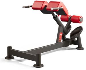 45 Degree Back Exercise Machine