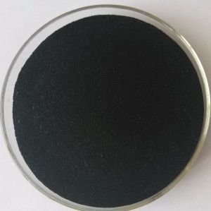 Seaweed Extract Powder - Ascophyllum nodosum