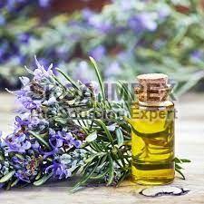 Rosemary Oil