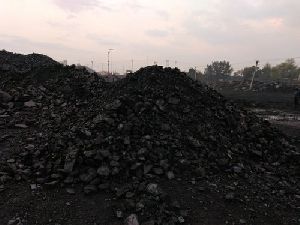 TOPA Steam Coal