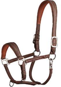 Horse Leather Halter