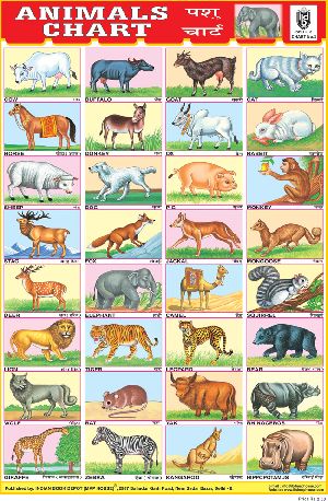 10x14 Inch Educational Wall Chart